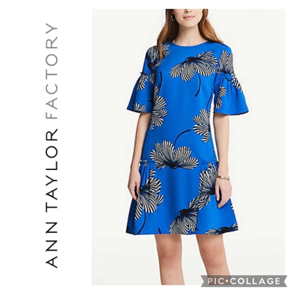 ****NWT**** ANN TAYLOR FACTORY Beautiful Blue Floral Flutter Dress 6